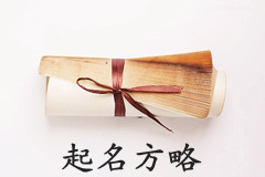 公司起名方略我們需要一個響亮的名字