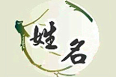姓名常識