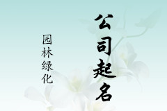 上海的陳先生您的公司