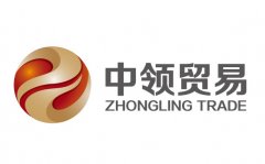 河北省中領(lǐng)貿(mào)易有限公司起名案例